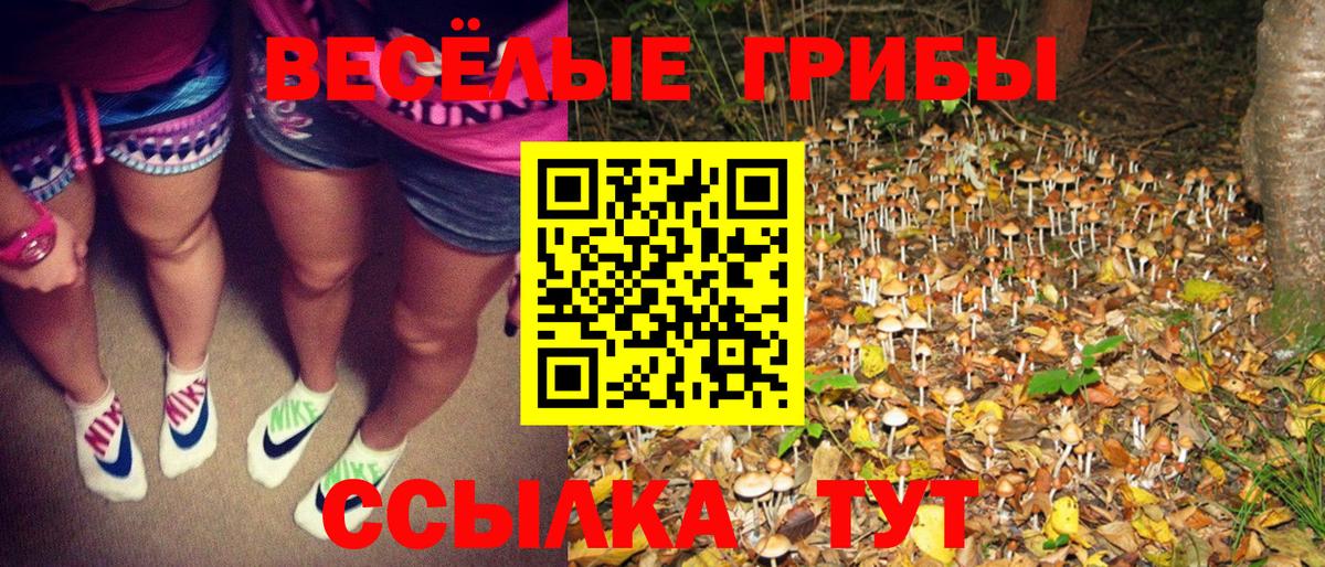 Кропоткин  Псилоцибиновые грибы мухоморы  где найти   Вход с VPN 
