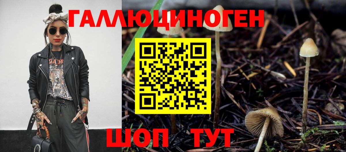 Псилоцибиновые грибы Psilocybe Кропоткин